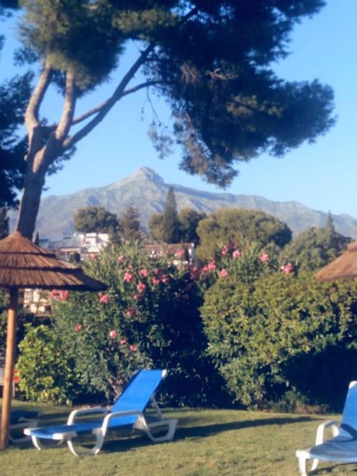 Estudio Torre De Andalucia Marbella Ngoại thất bức ảnh